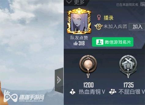 和平精英模拟器《ACE》内部辅助上架